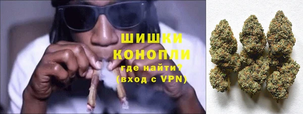 гидра Алексеевка