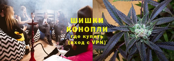 гидра Алексеевка